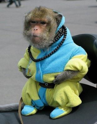 Прикрепленное изображение: 10689613_759876614074277_8779862616023796805_n.jpg